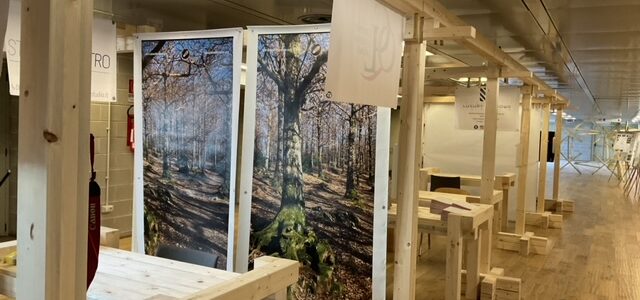 Iniziata la Settimana del Legno a Ingegneria “Tor Vergata”, seminari fino al 1° aprile