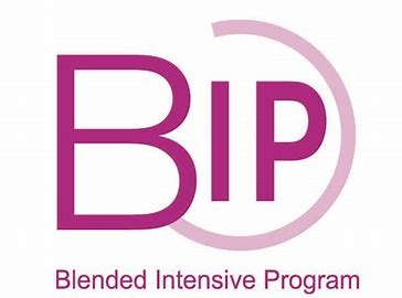Blended Intensive Program – AI-empowered Management Consulting